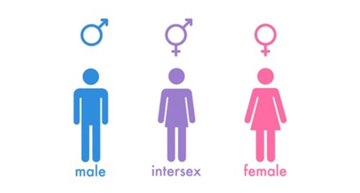  Understanding the spectrum according to the UN, navigating gender diversity